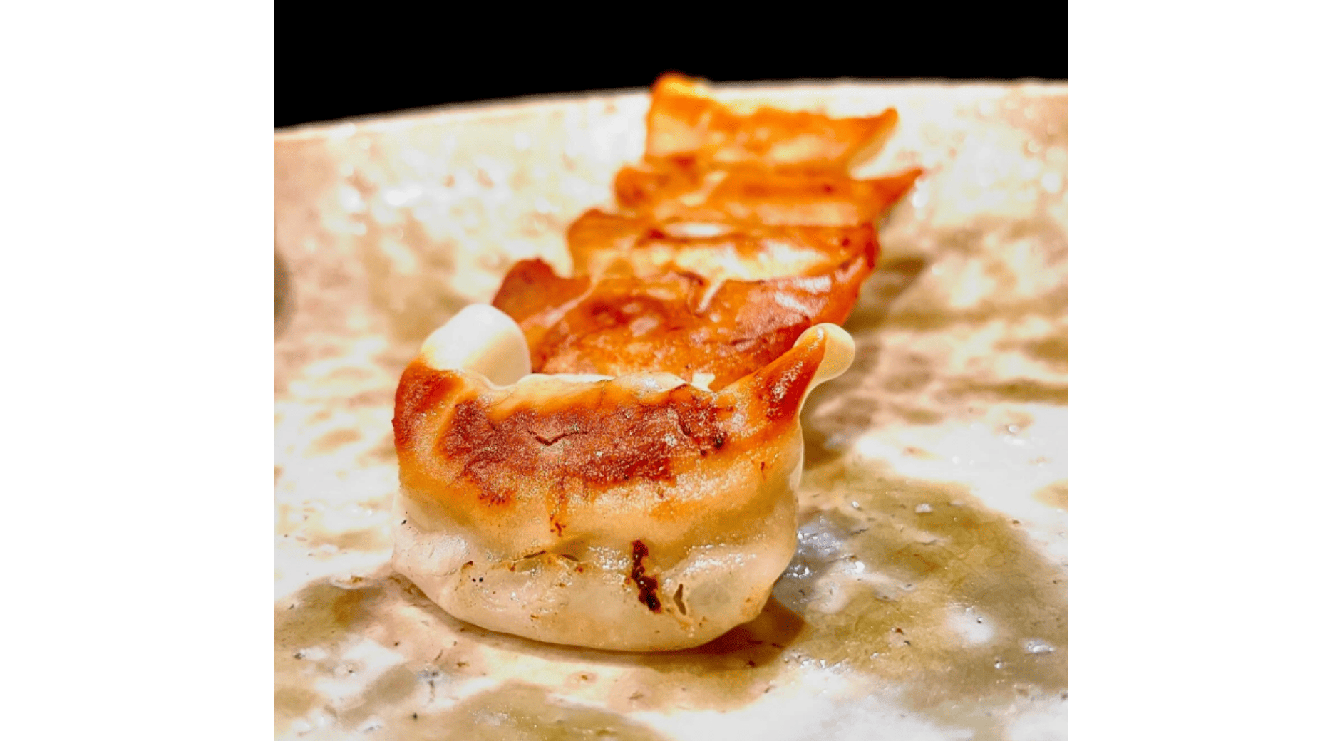 焼き餃子